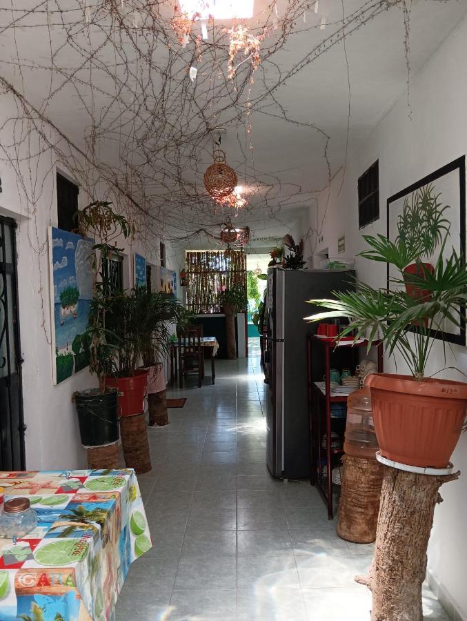 Alojamiento Ya'Ax Nah Playa del Carmen Eksteriør billede